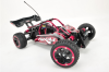 sworkz-4x4-cage-buggy-front.png
