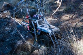 bozzoreed89@gmail.com